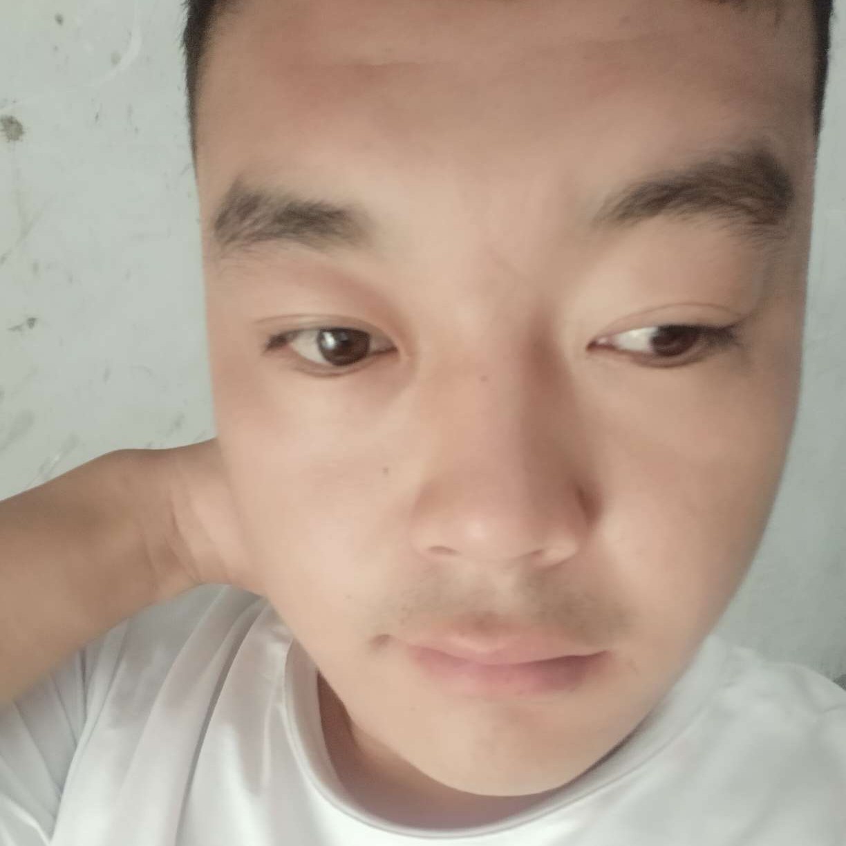 儒雅演变流沙的照片