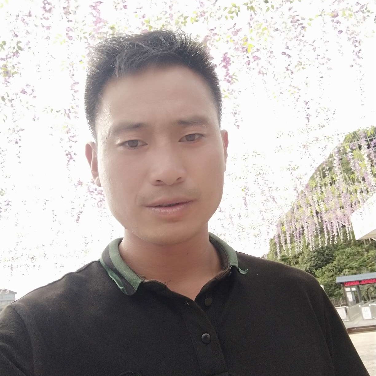 糊涂你龙哥的照片