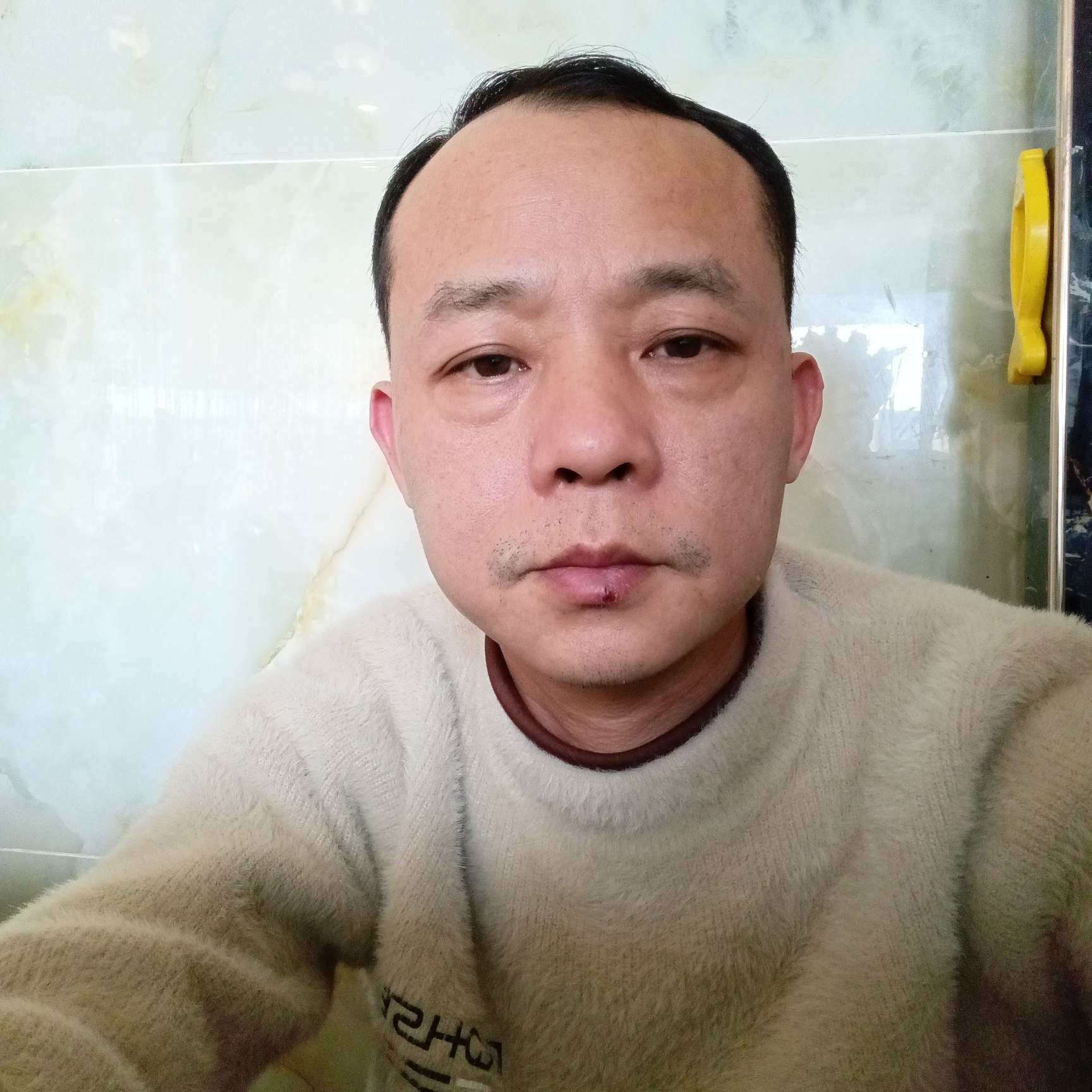 蚱 蜢的照片