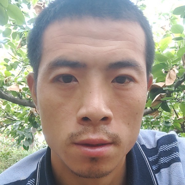 透彻给绿茶的照片
