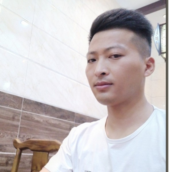 哈密瓜漫步有魅力的照片