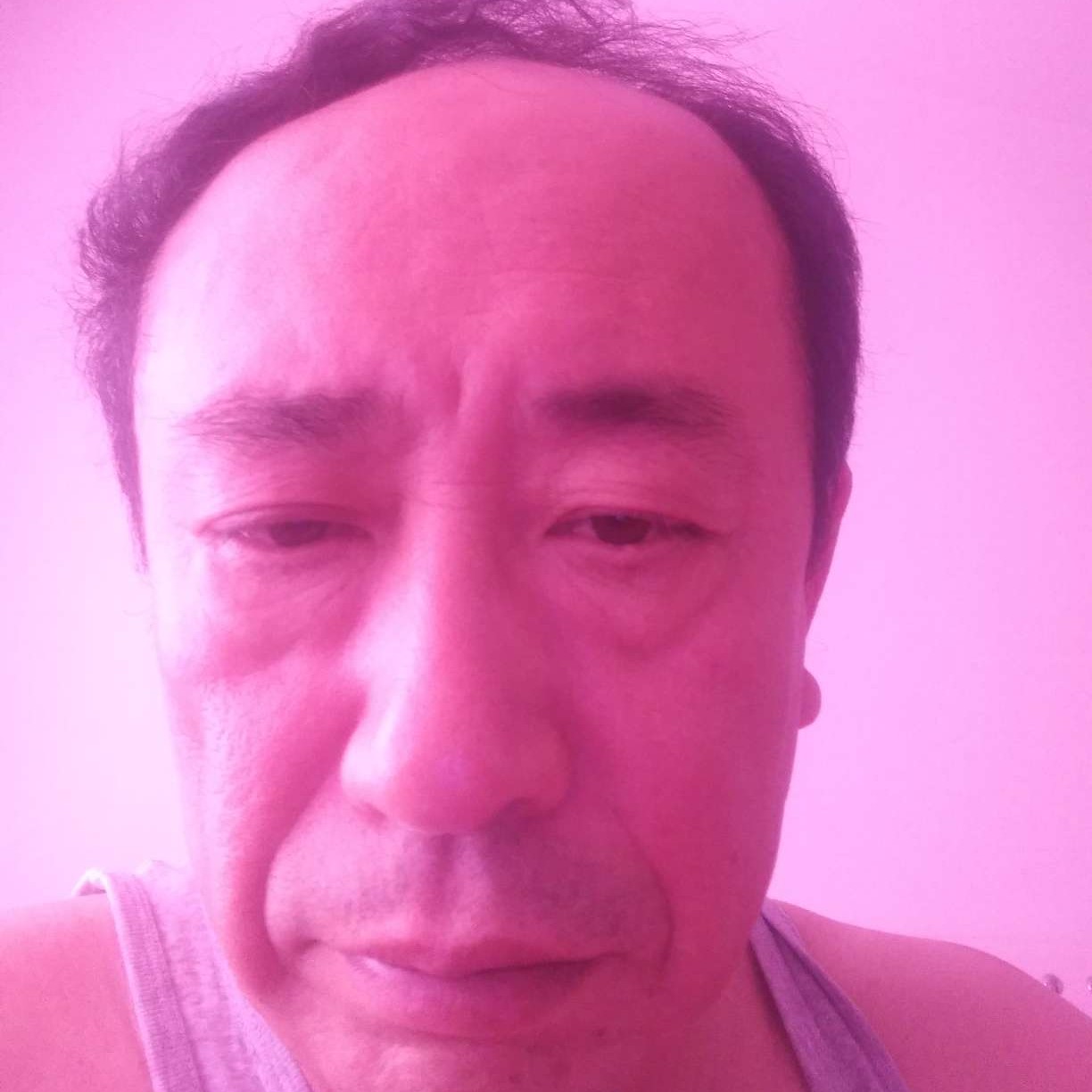 专一等待西牛的照片