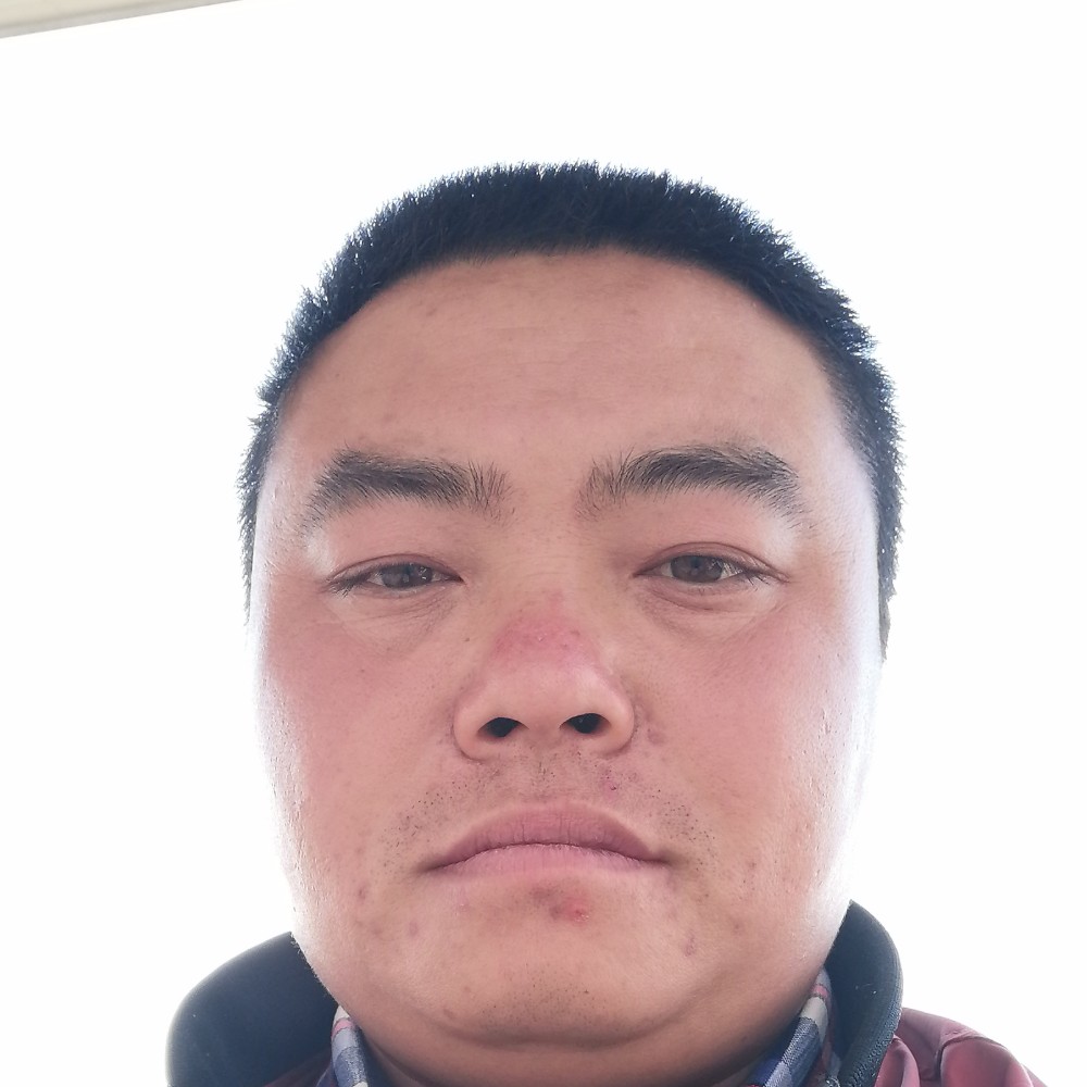 大象激昂的照片