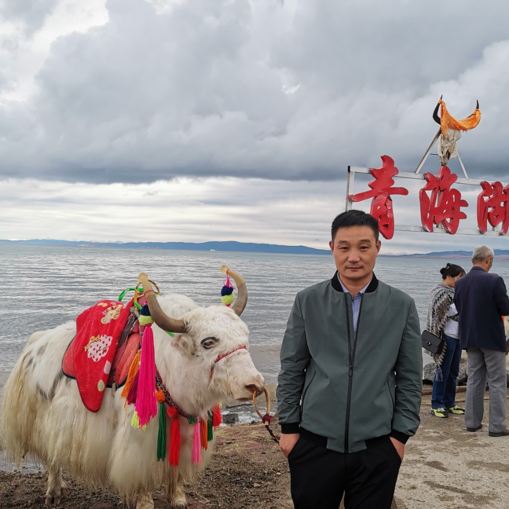 霸气与奇异果的照片