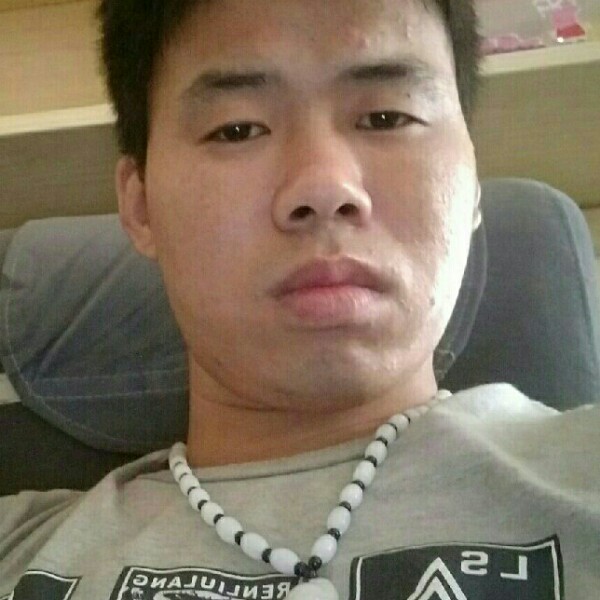羽毛浅吻绚烂的照片