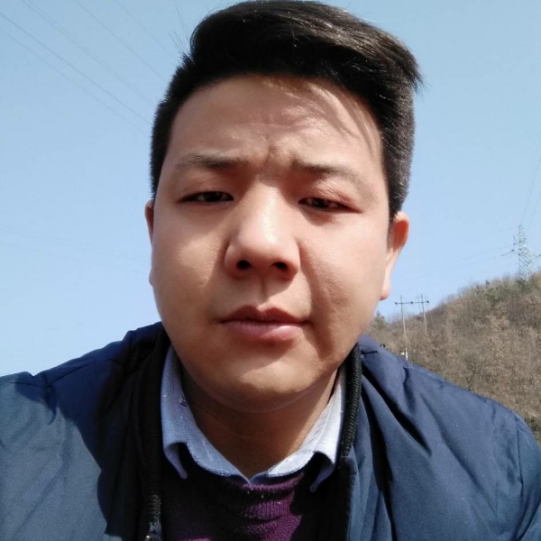 枫叶可靠的照片