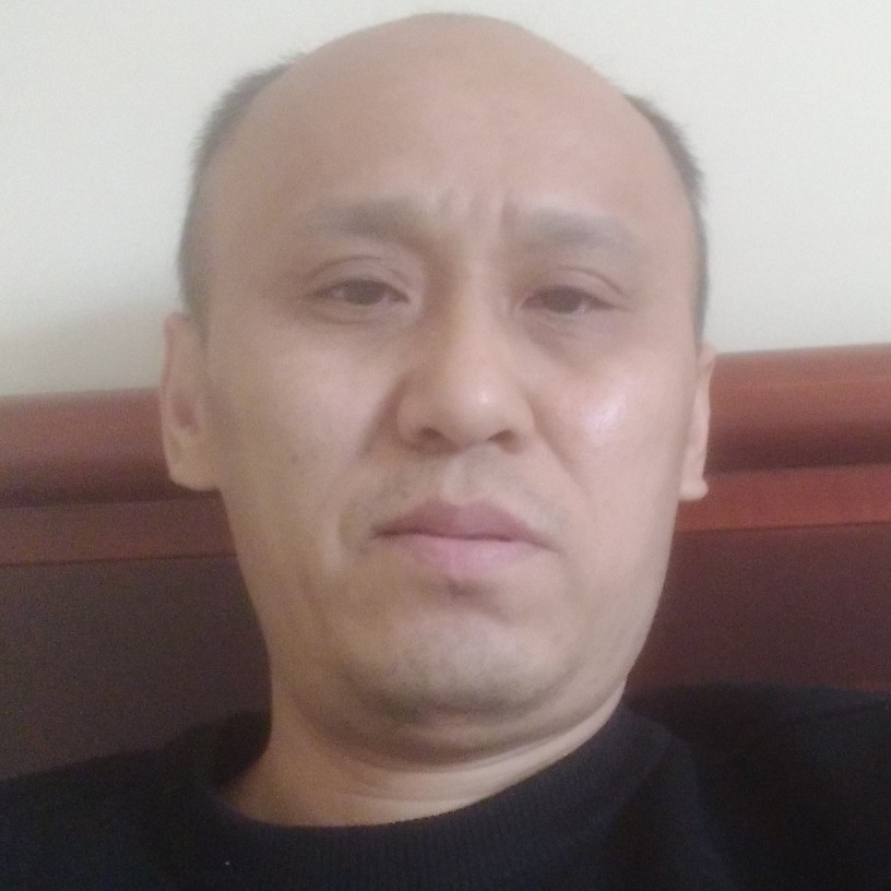 森林木木的照片