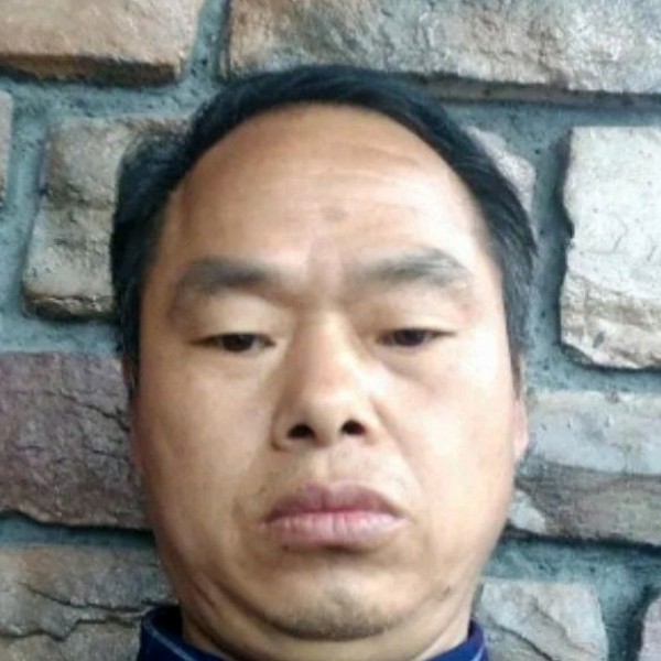 耍酷爱恋树叶的照片