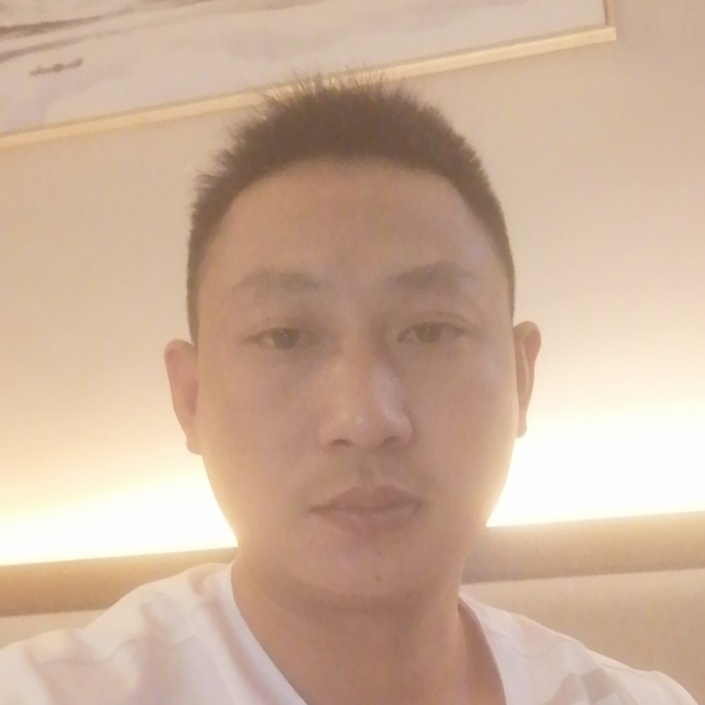 向日葵的愉快的照片