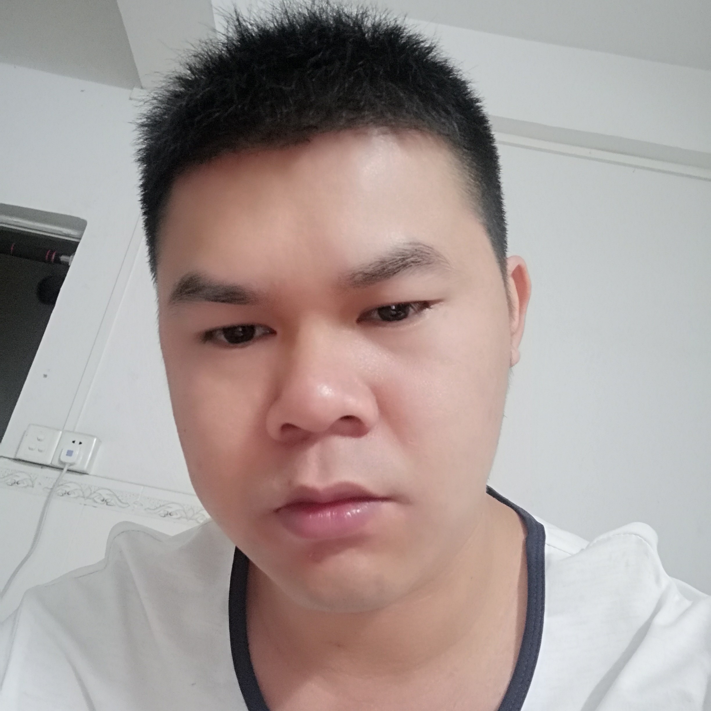 逐风落寞画的照片