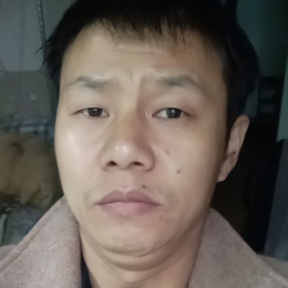 正直朋友%的照片