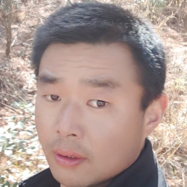 坚定蹁跹小兔子的照片