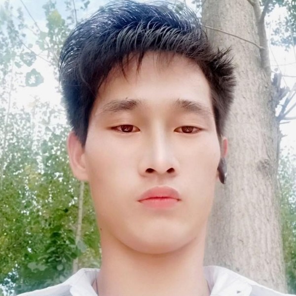 钢笔放弃孤独的照片