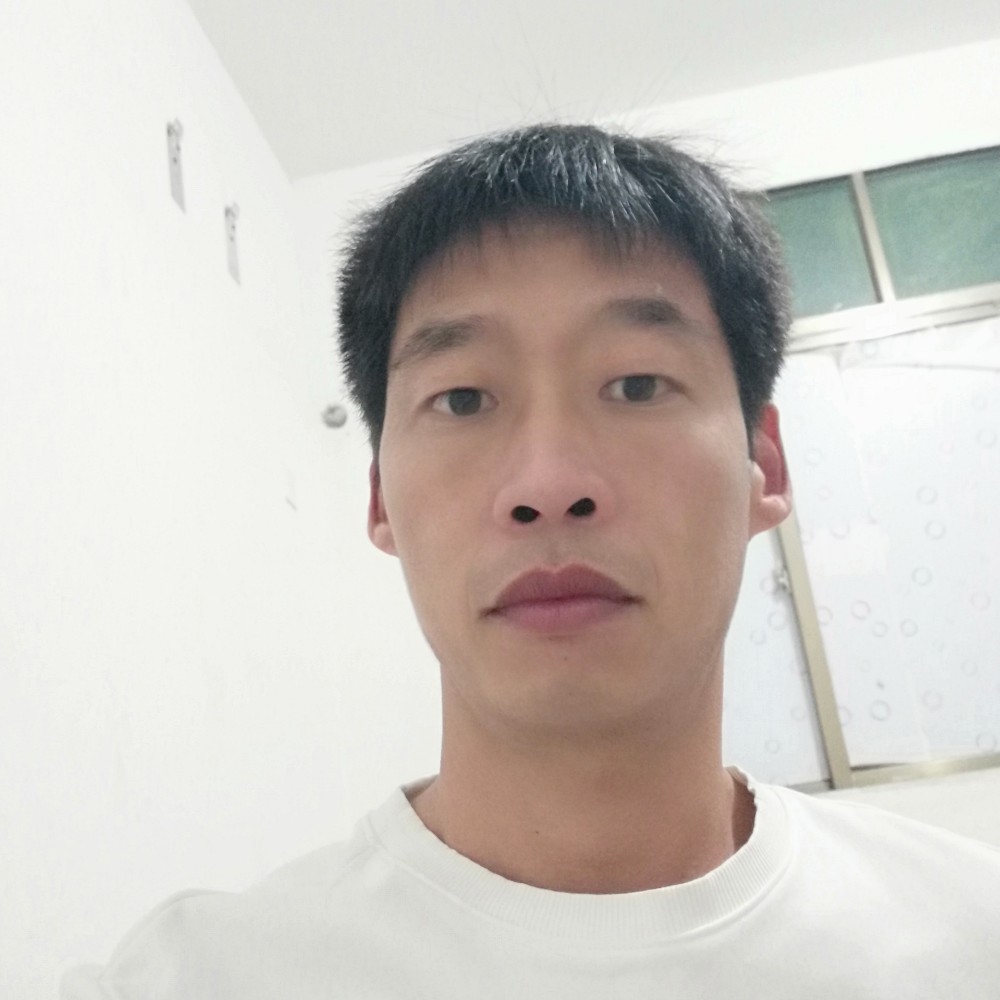 含羞草泪了可靠的照片