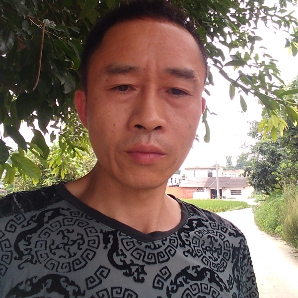 鸵鸟就完美的照片