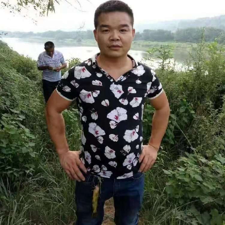会员115169795的照片