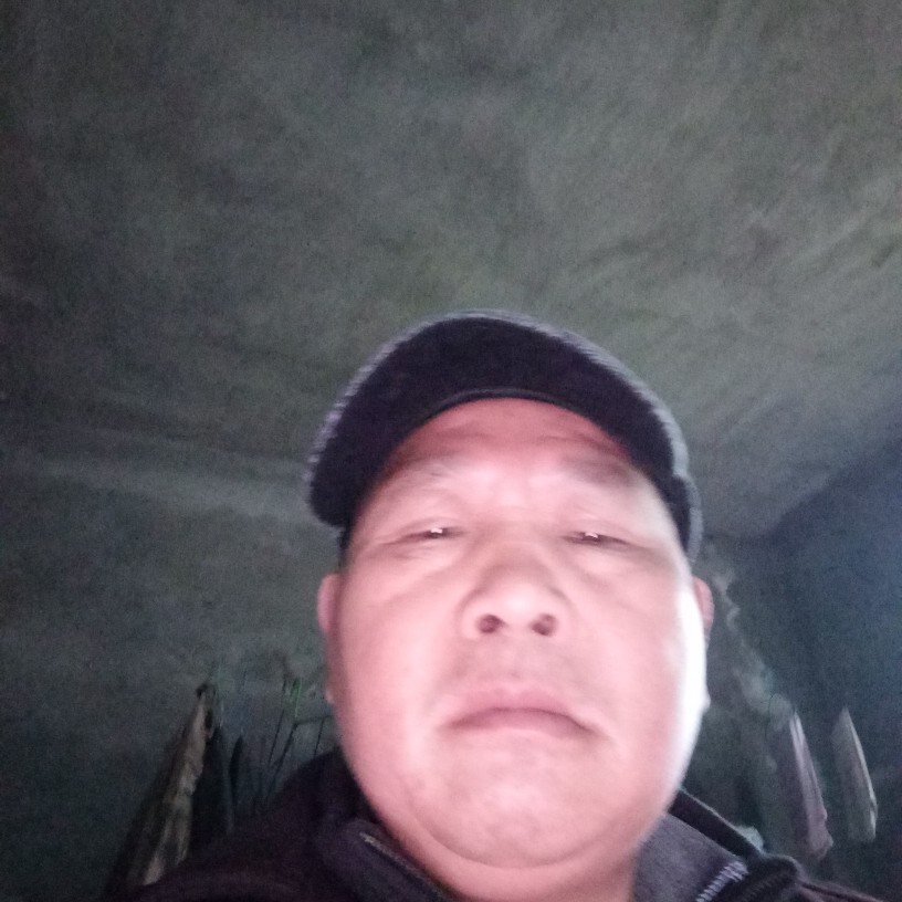 大意毛豆的照片