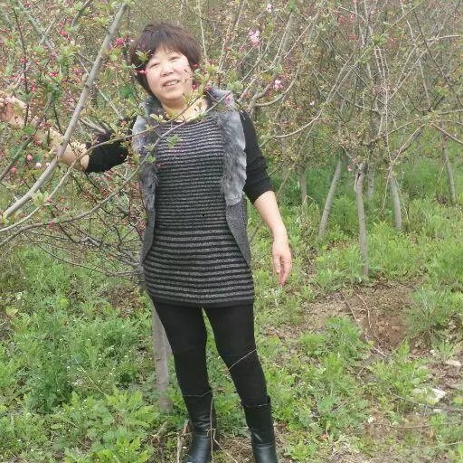漫步一生的照片
