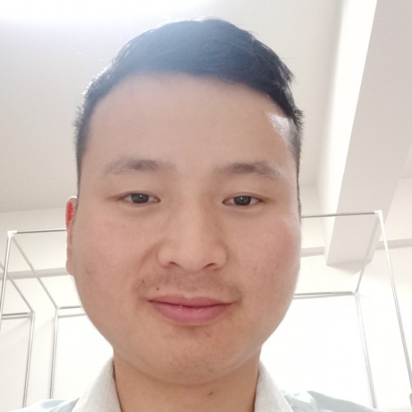 糊涂刺猬的照片