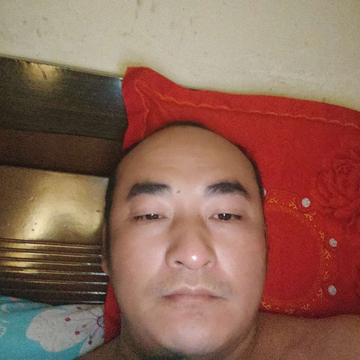 科斗呀的照片