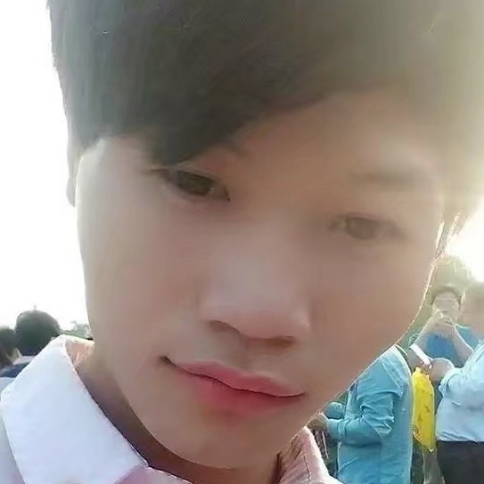 小灰鸽的照片