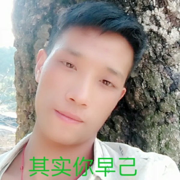 害羞蹁跹芒果的照片