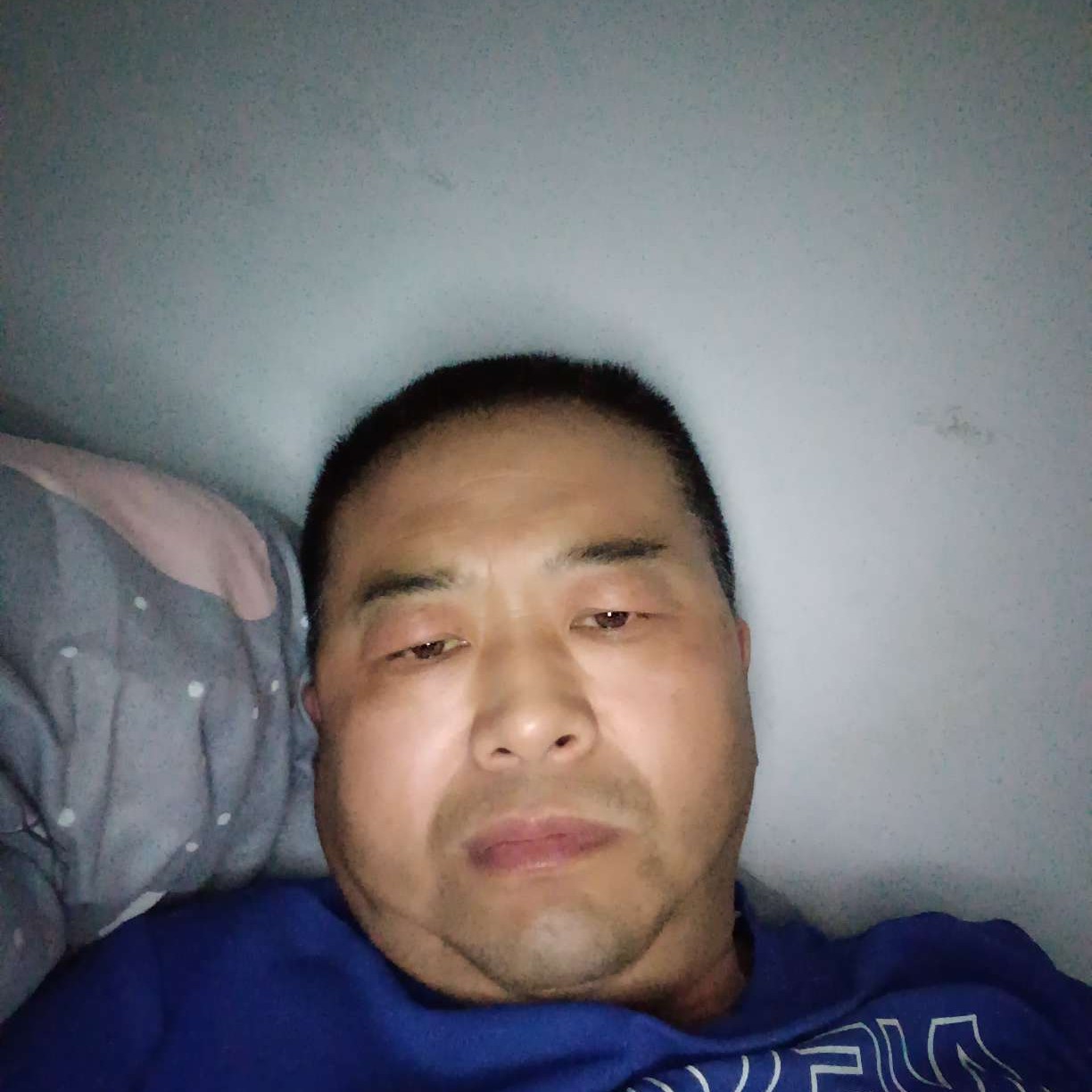 柠檬向欢喜的照片