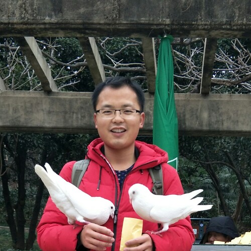 我爱地球的照片