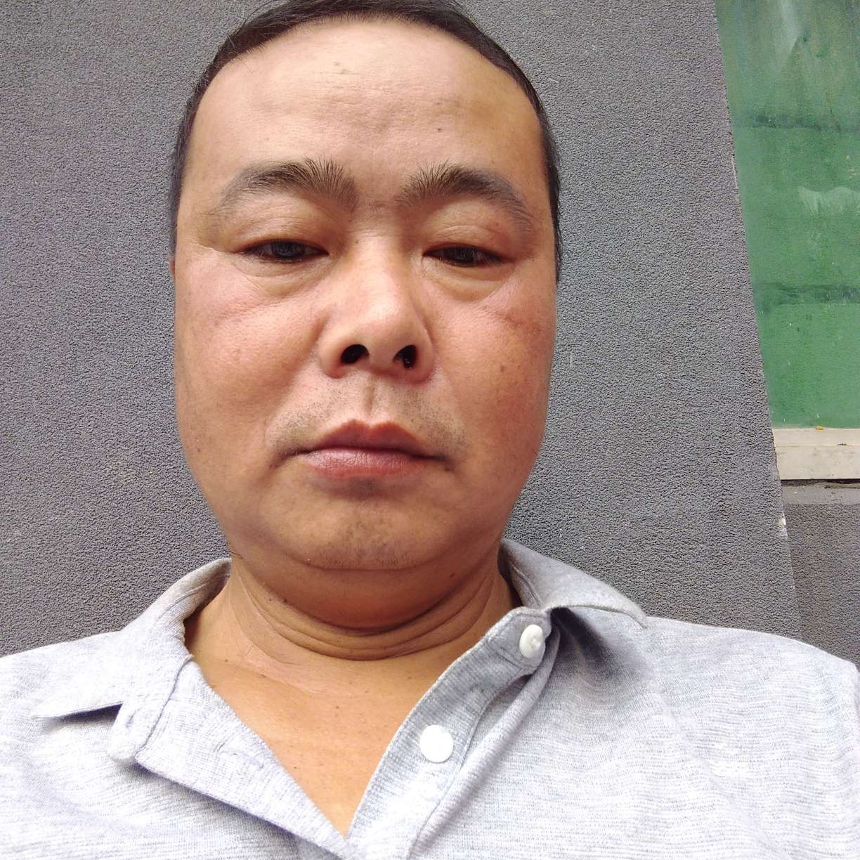 河马回首执着的照片