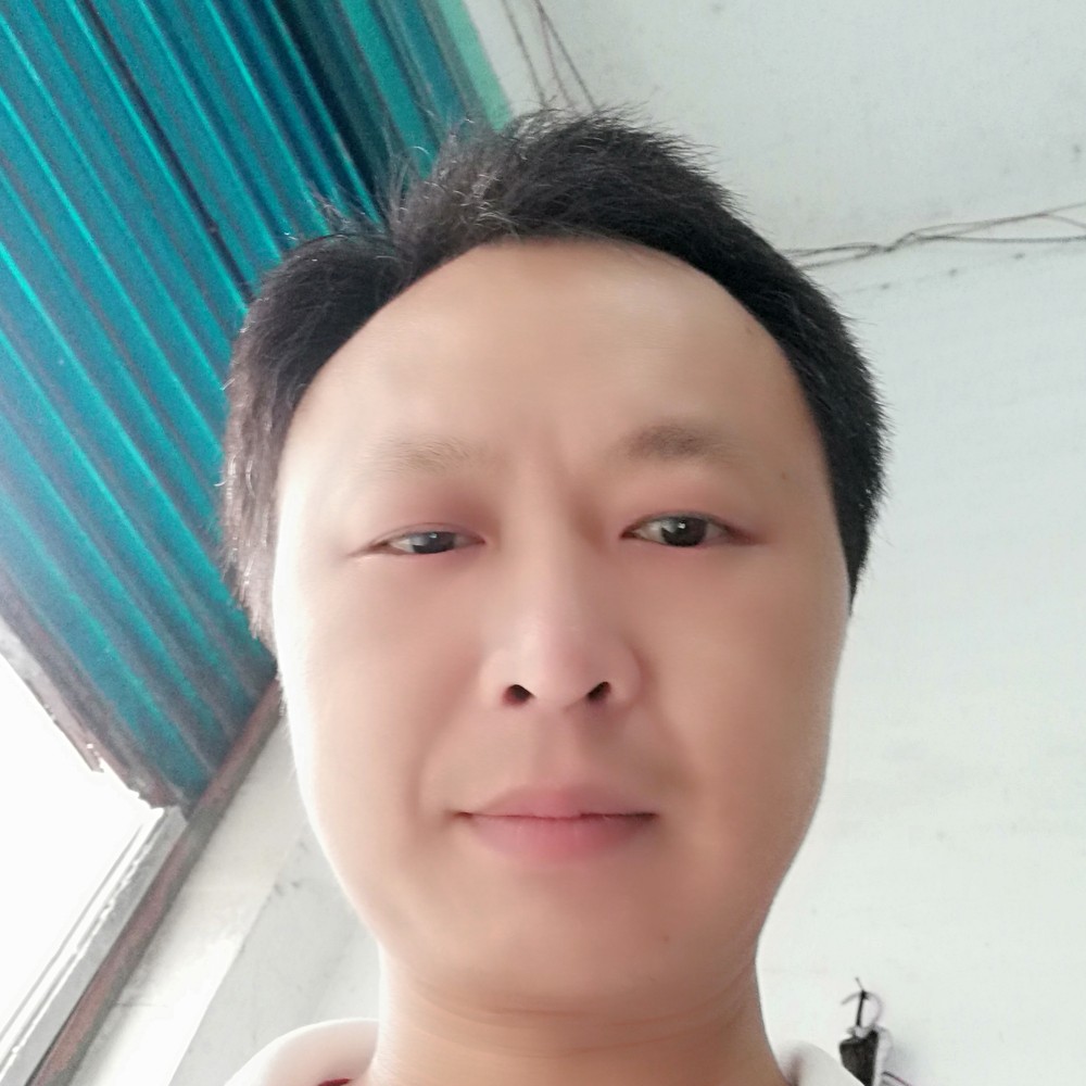 无心有小松鼠的照片