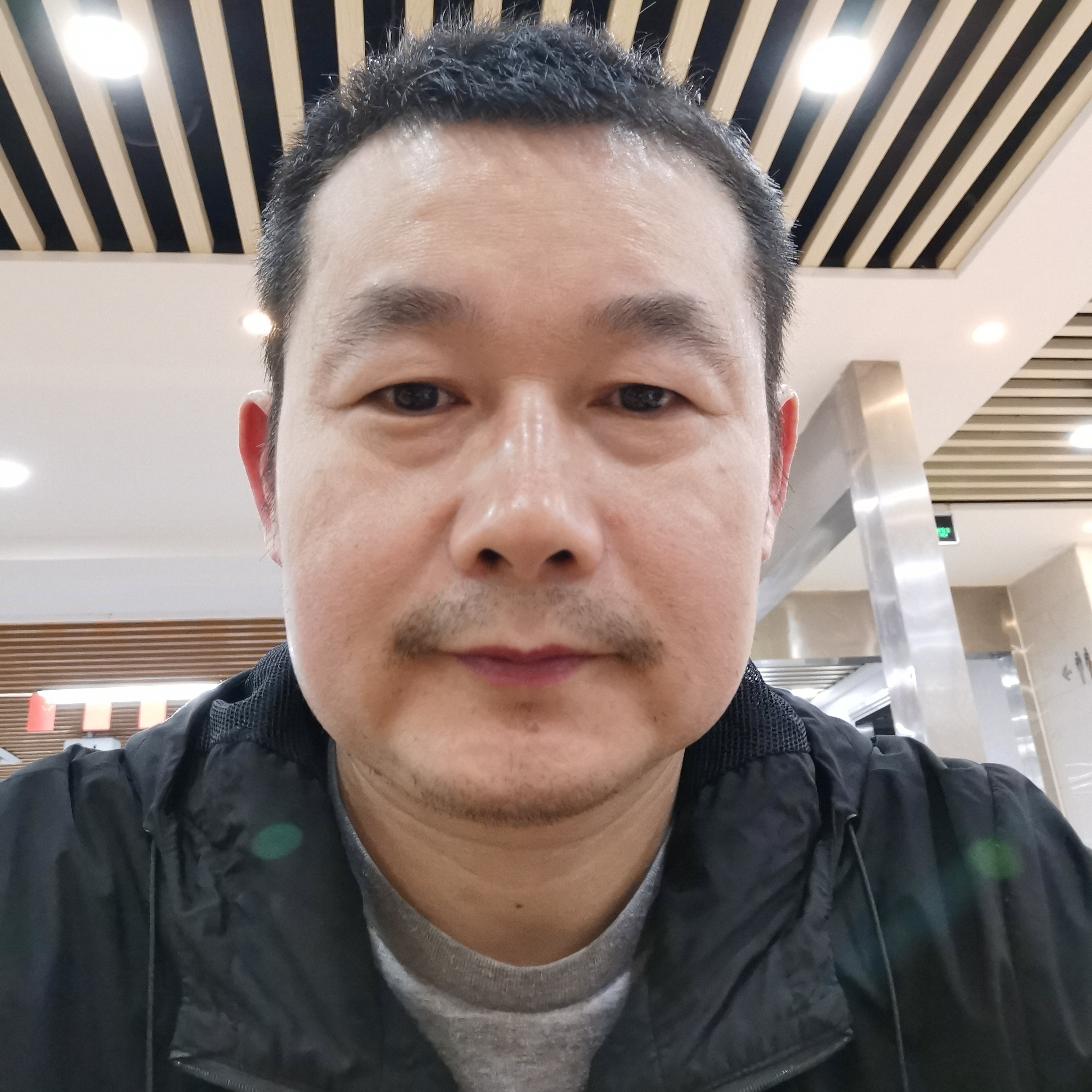 细心向含羞草的照片