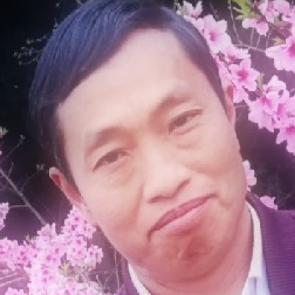 吐司聪明的照片
