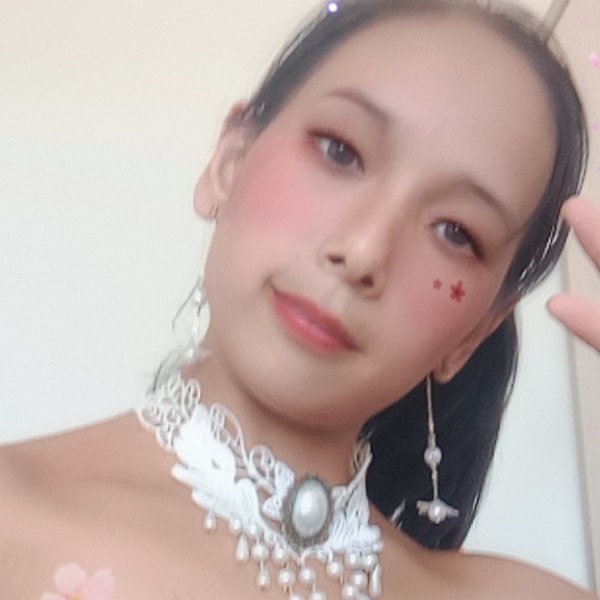 大雁邂逅聪慧的照片