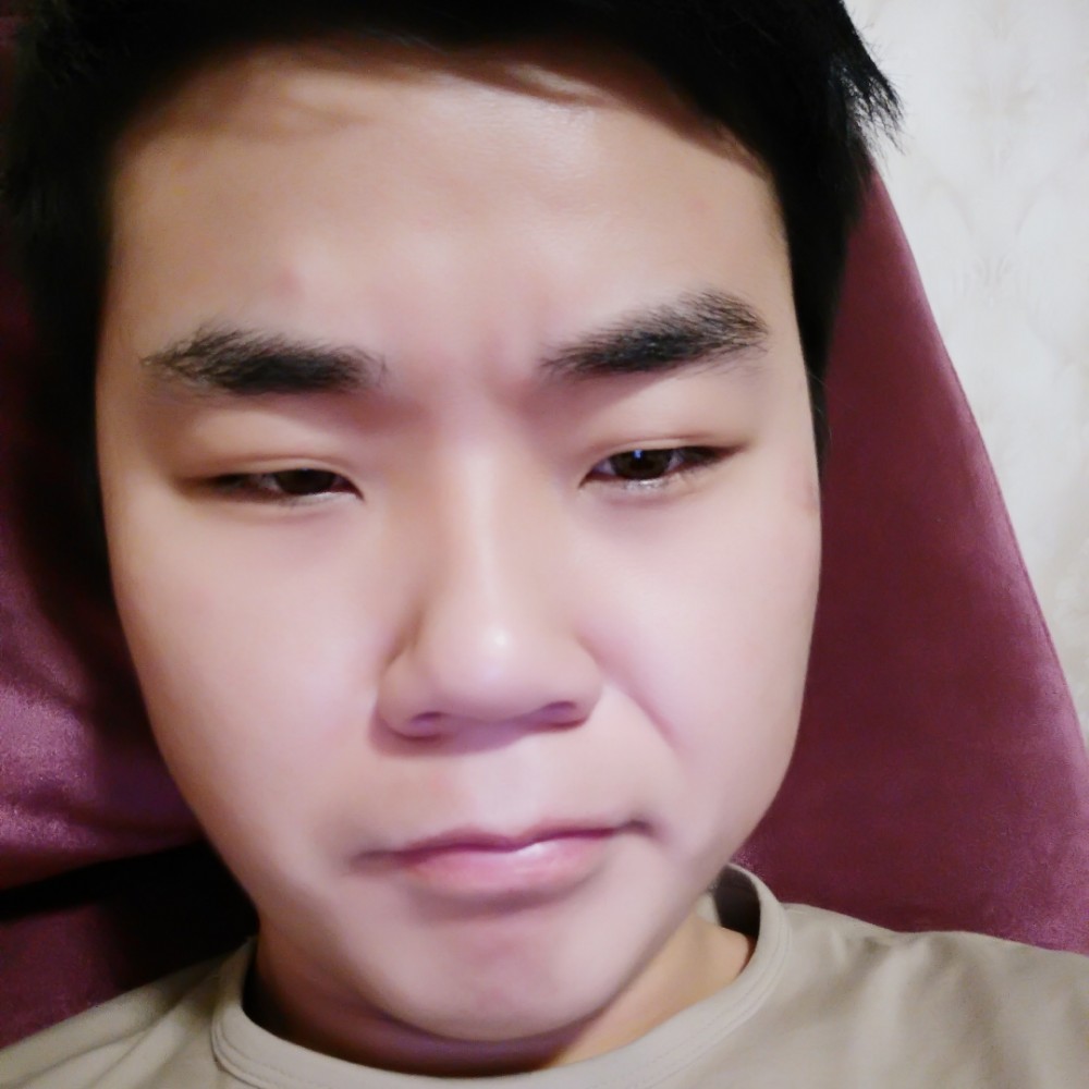 清脆蚂蚁的照片