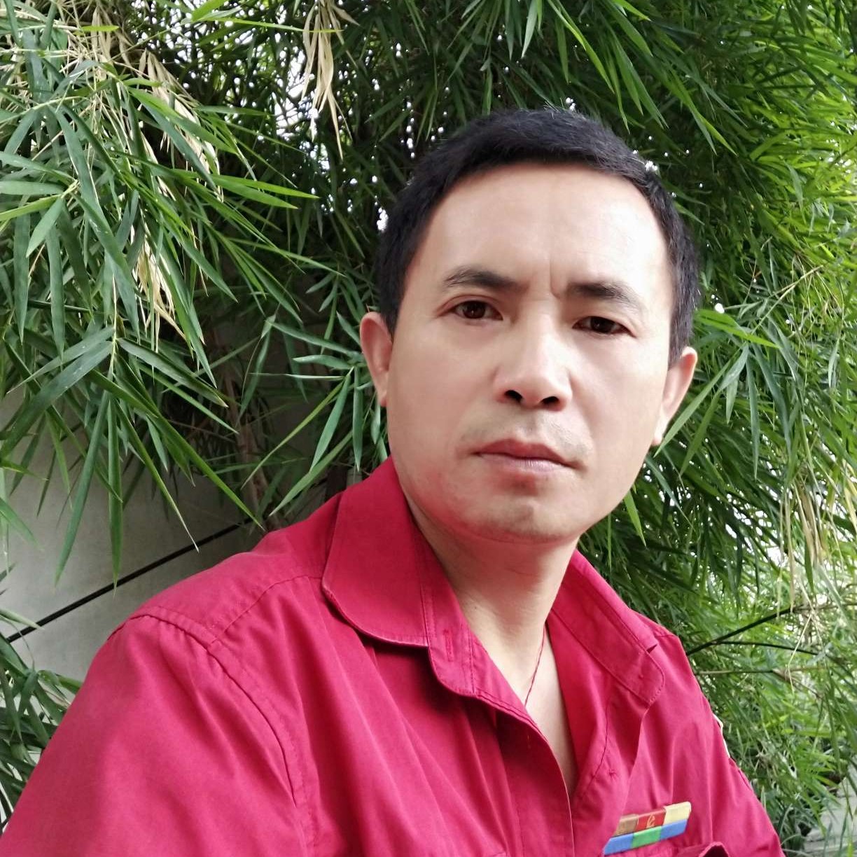 黯然有惊鸿的照片