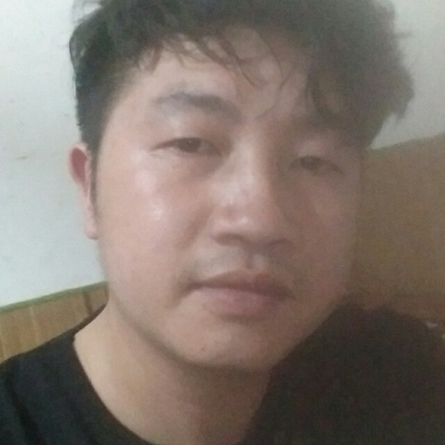 风中斑马的照片