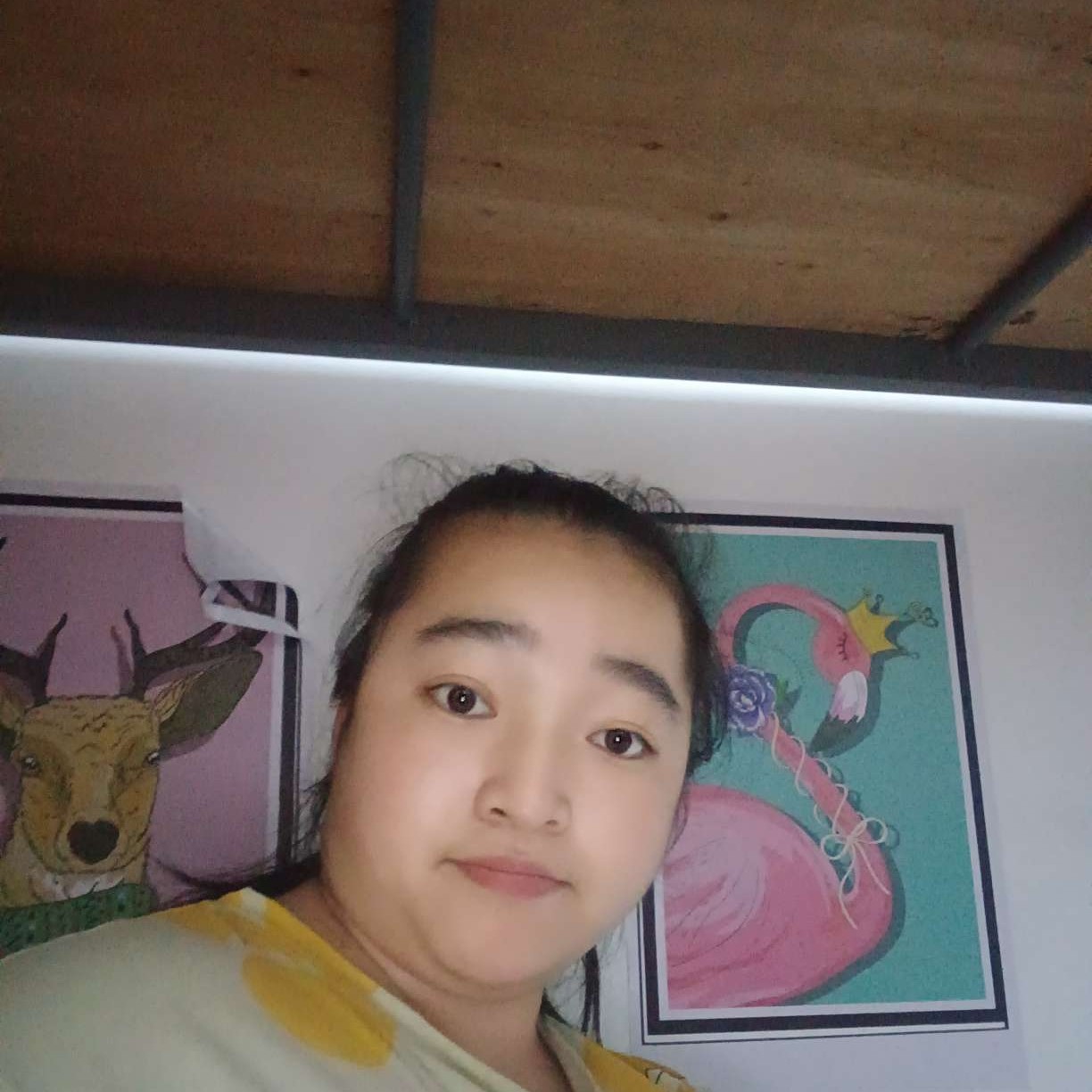 冷静迎百合的照片