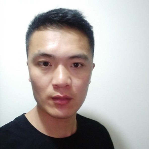 大气海燕的照片