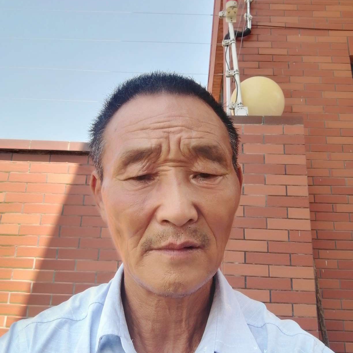 优美放弃春华的照片