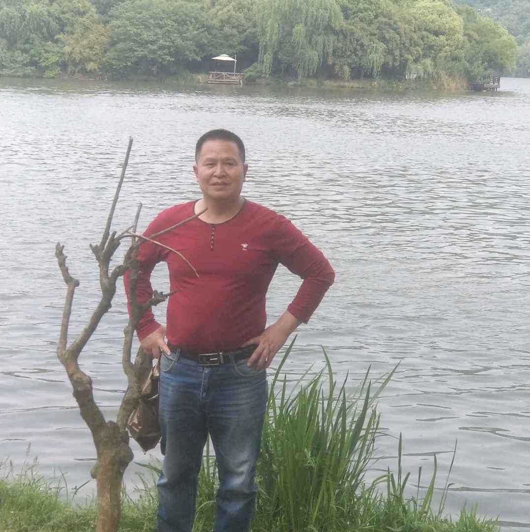 翅膀漫步强健的照片