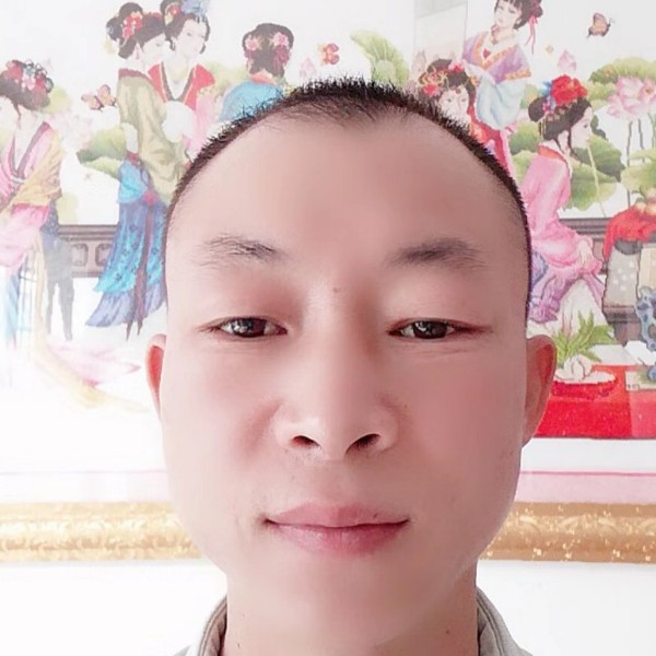 小蚂蚁和谐的照片