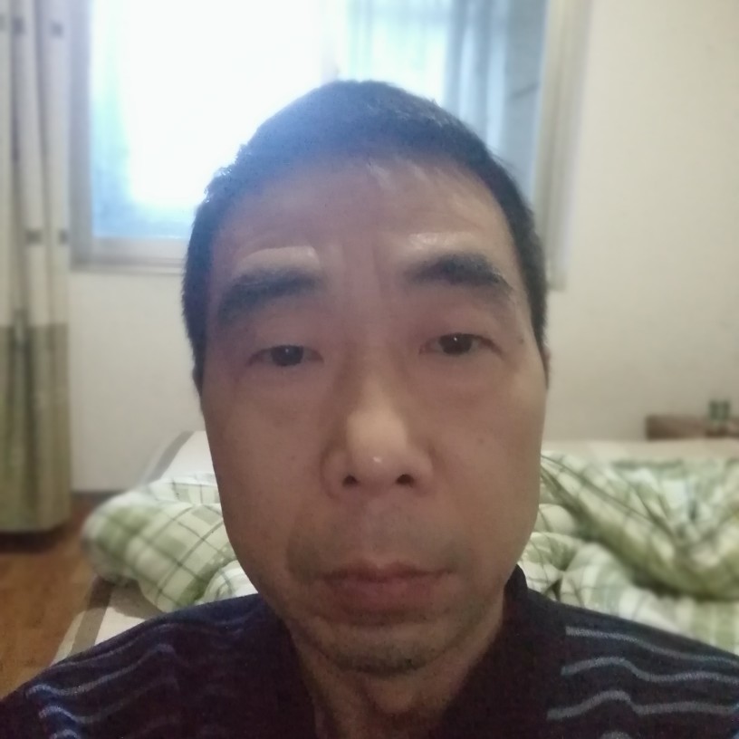 多多猫的照片
