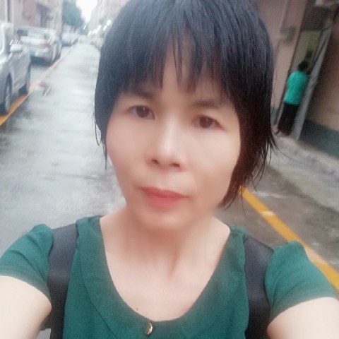 深情漫步羊的照片