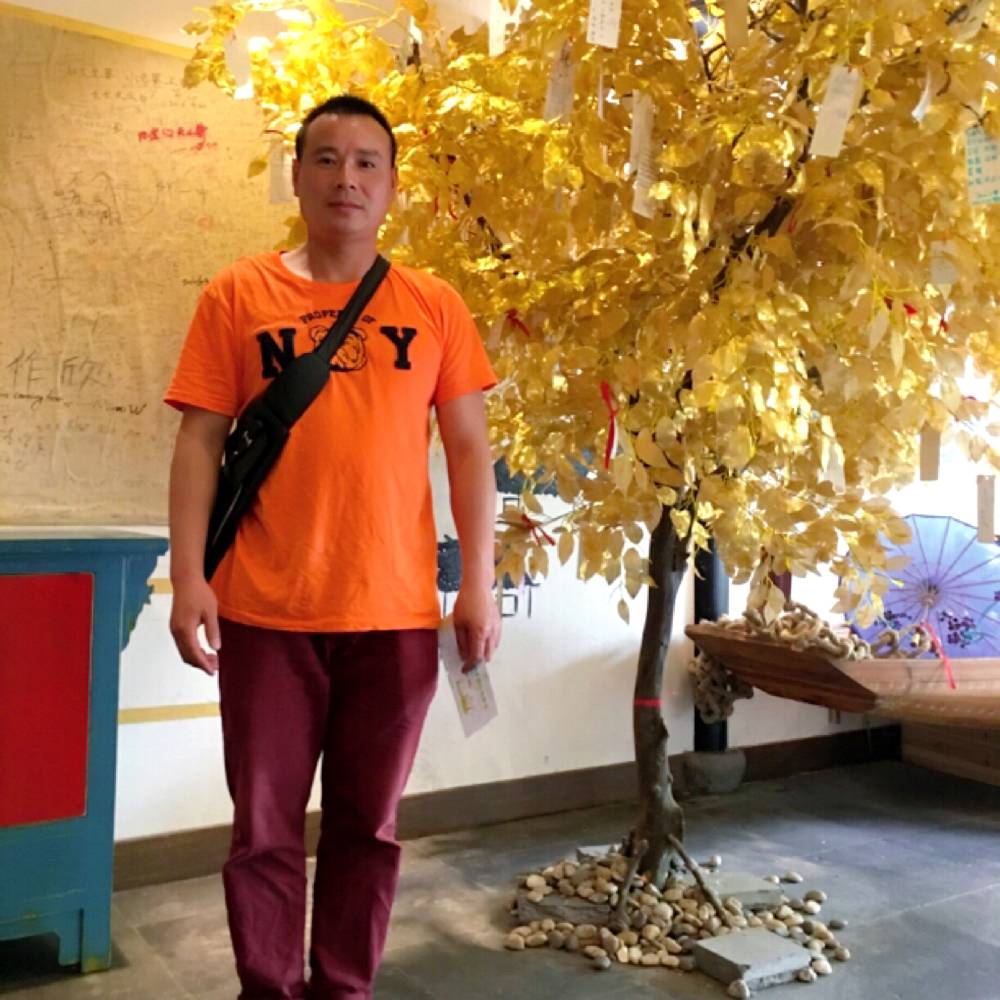 飘逸火龙果的照片