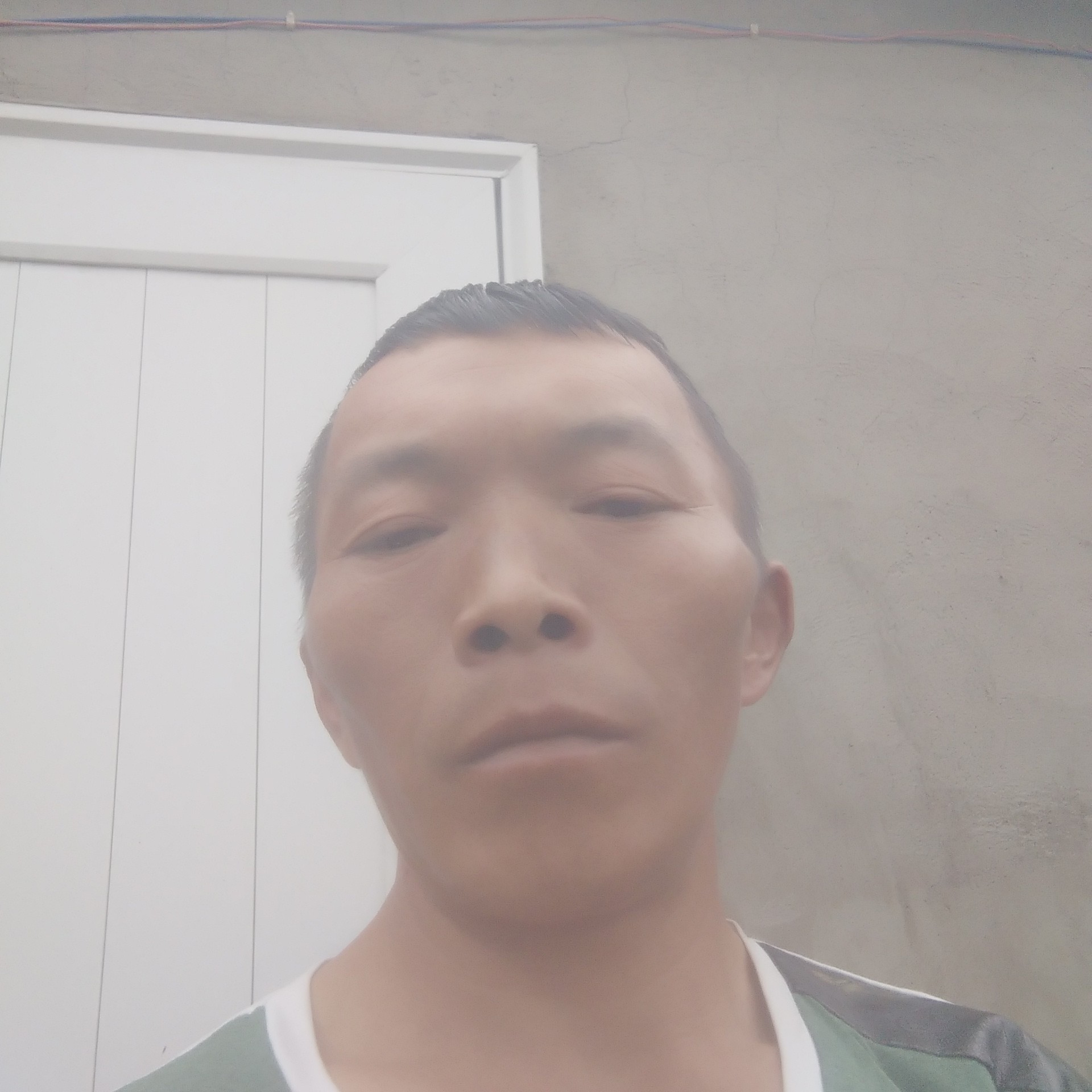 饱满保卫小蝴蝶的照片