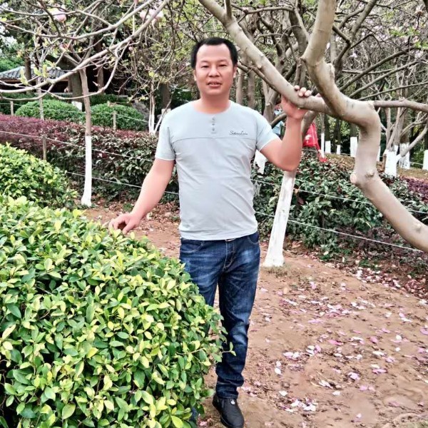干净秋天的照片
