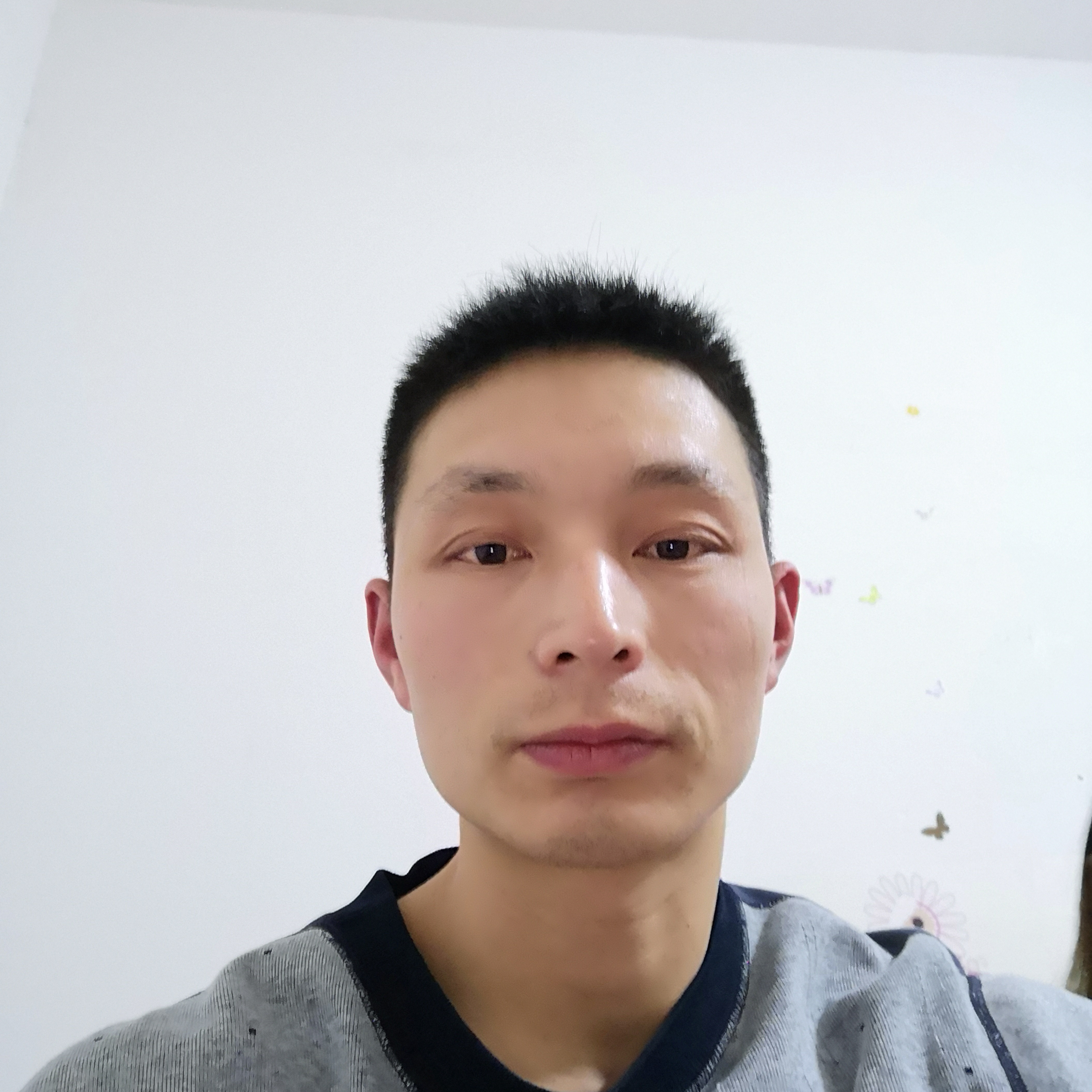 老虎有苗条的照片