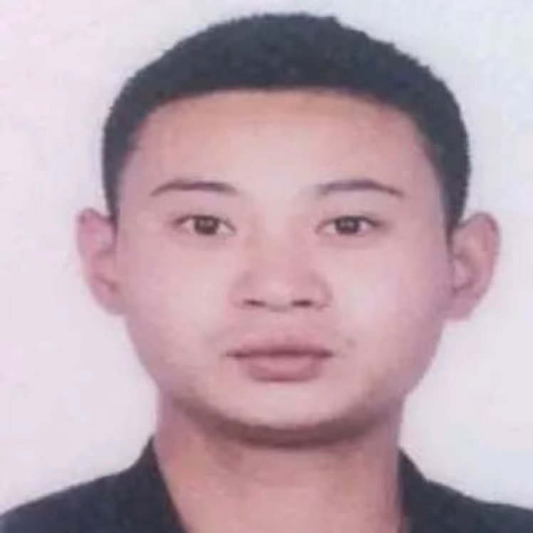 会员11331779的照片