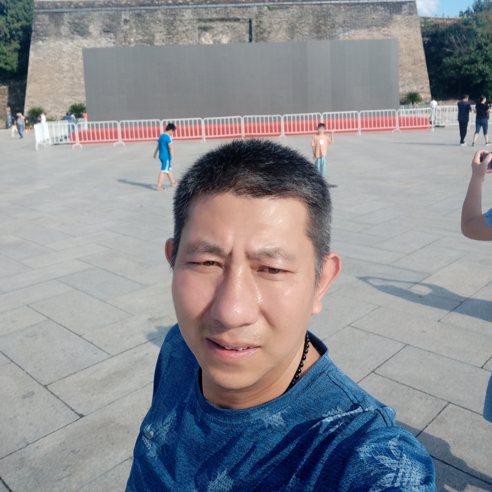 纸鹤外向的照片