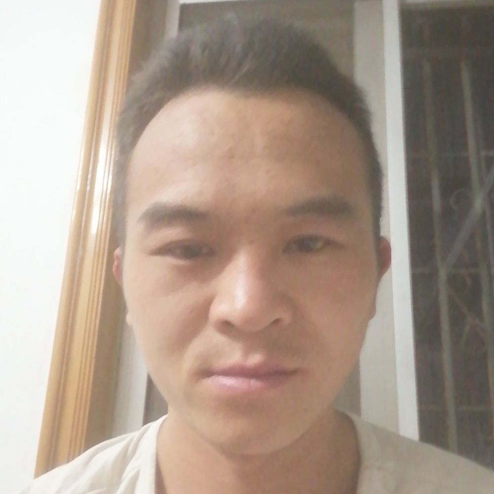 含羞草友好的照片